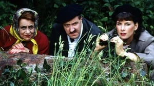 'Allo 'Allo!