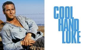 Cool Hand Luke