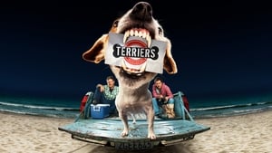 Terriers