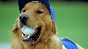 Air Bud: Seventh Inning Fetch