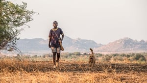 The Boy Who Harnessed the Wind