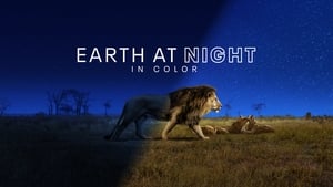 Earth at Night in Color