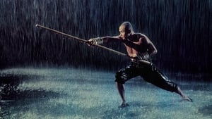 The 36th Chamber of Shaolin