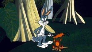 Bugs Bunny's 3rd Movie: 1001 Rabbit Tales