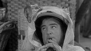 Abbott and Costello Meet the Mummy