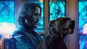 John Wick: Chapter 3 - Parabellum