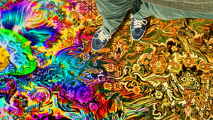 Have a Good Trip: Adventures in Psychedelics