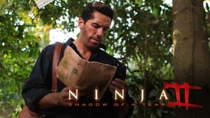 Ninja: Shadow of a Tear