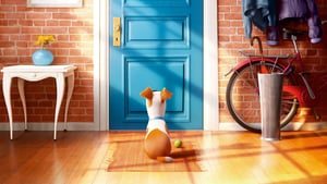 The Secret Life of Pets