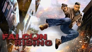 Falcon Rising