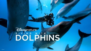 Diving with Dolphins