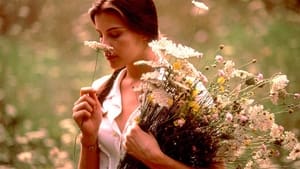 Stealing Beauty