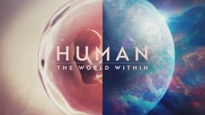 Human: The World Within