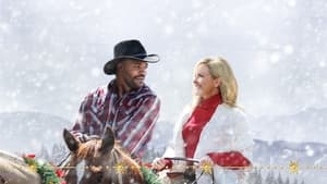 Mistletoe in Montana