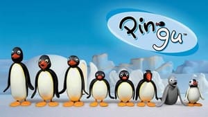 Pingu