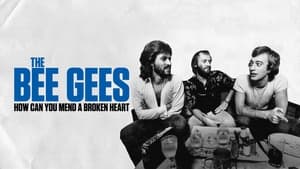 The Bee Gees: How Can You Mend a Broken Heart