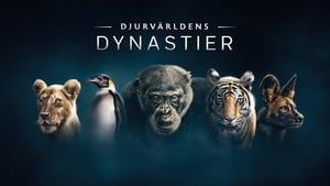 Dynasties