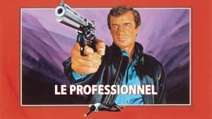 The Professional