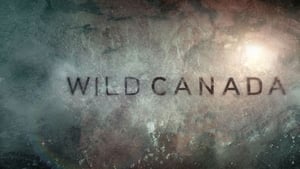 Wild Canada