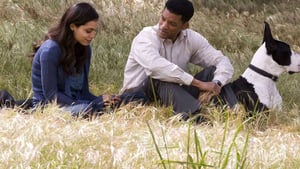 Seven Pounds