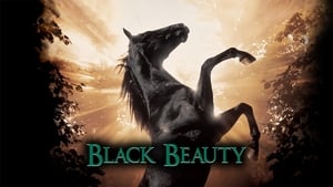 Black Beauty