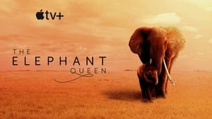 The Elephant Queen