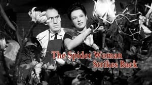 The Spider Woman Strikes Back