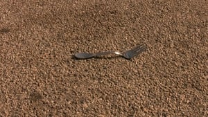 A Fork in the Road