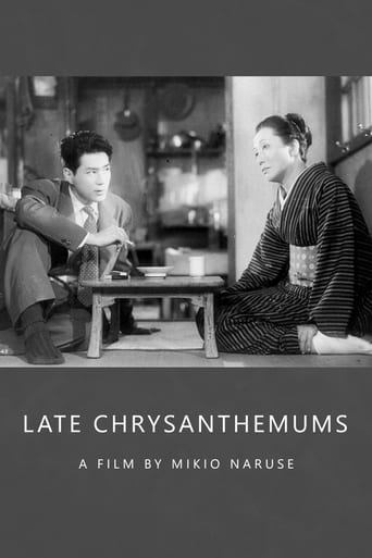 Late Chrysanthemums 1954