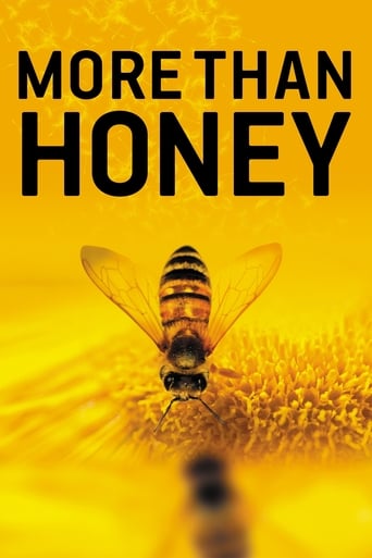 دانلود فیلم More Than Honey 2012