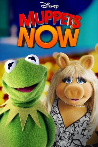 دانلود سریال Muppets Now 2020 (حالا ماپت‌ها)